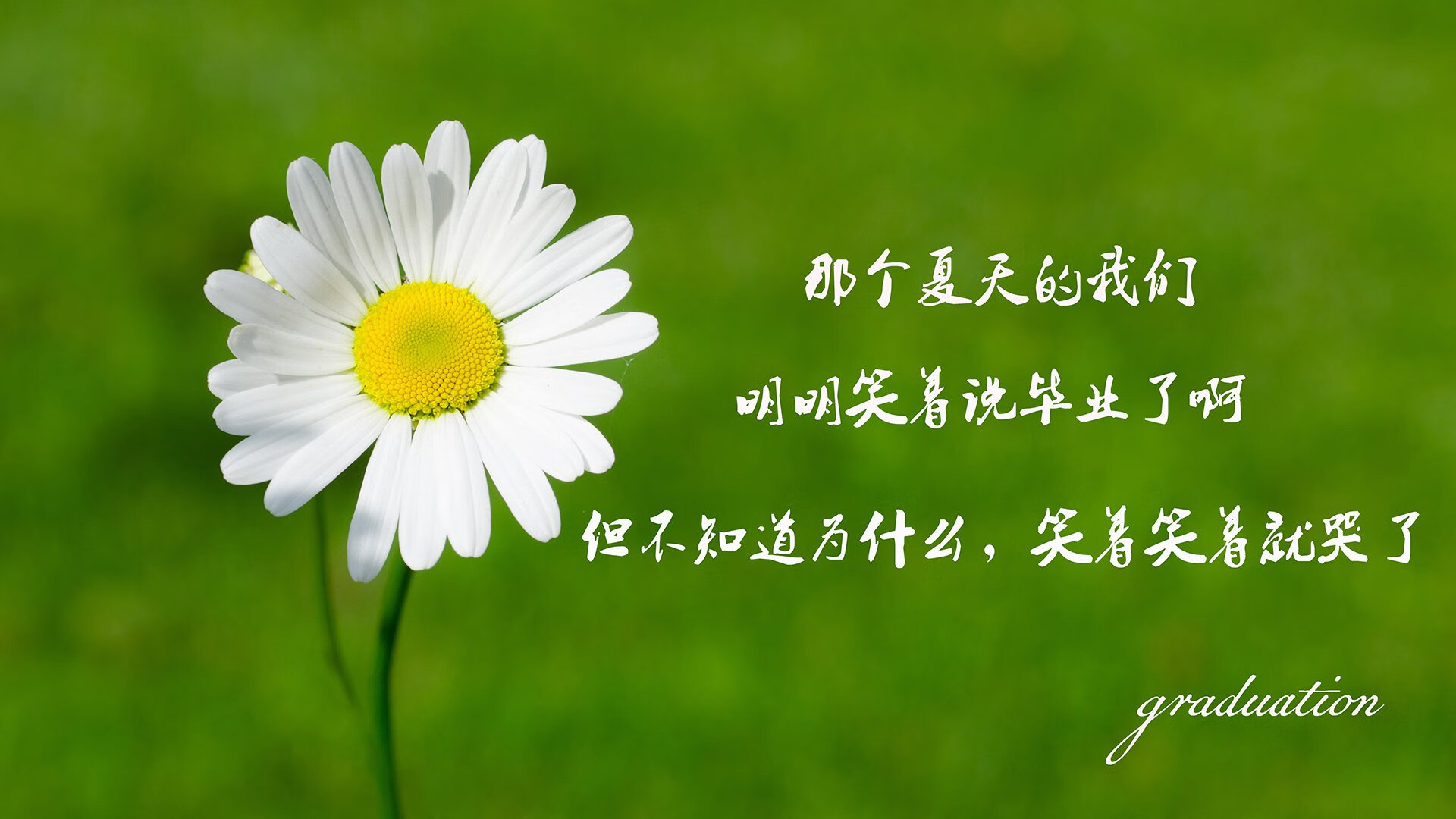 国足年度战术执行临界失误分析图谱，国足技战术