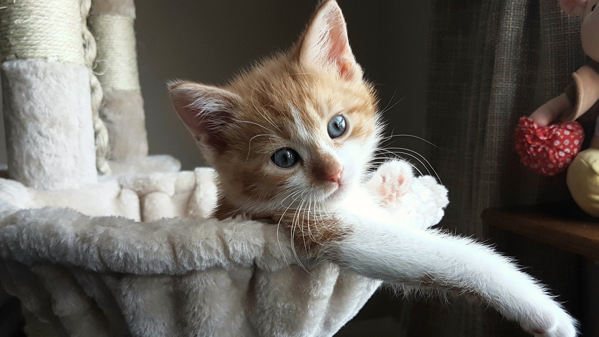 经典逆转:五大联赛中令人难忘的逆境翻盘,经典逆转比赛 天下足球