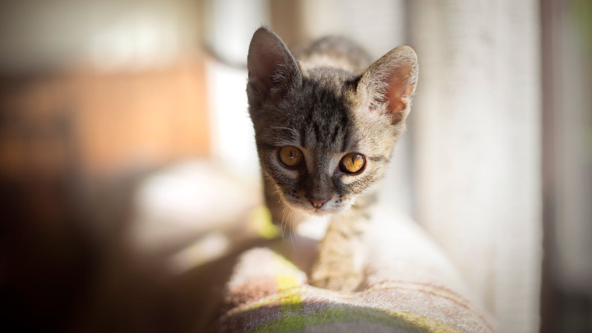 中国三人篮球男队提升阵地防守韧性，中国队三人篮球队员