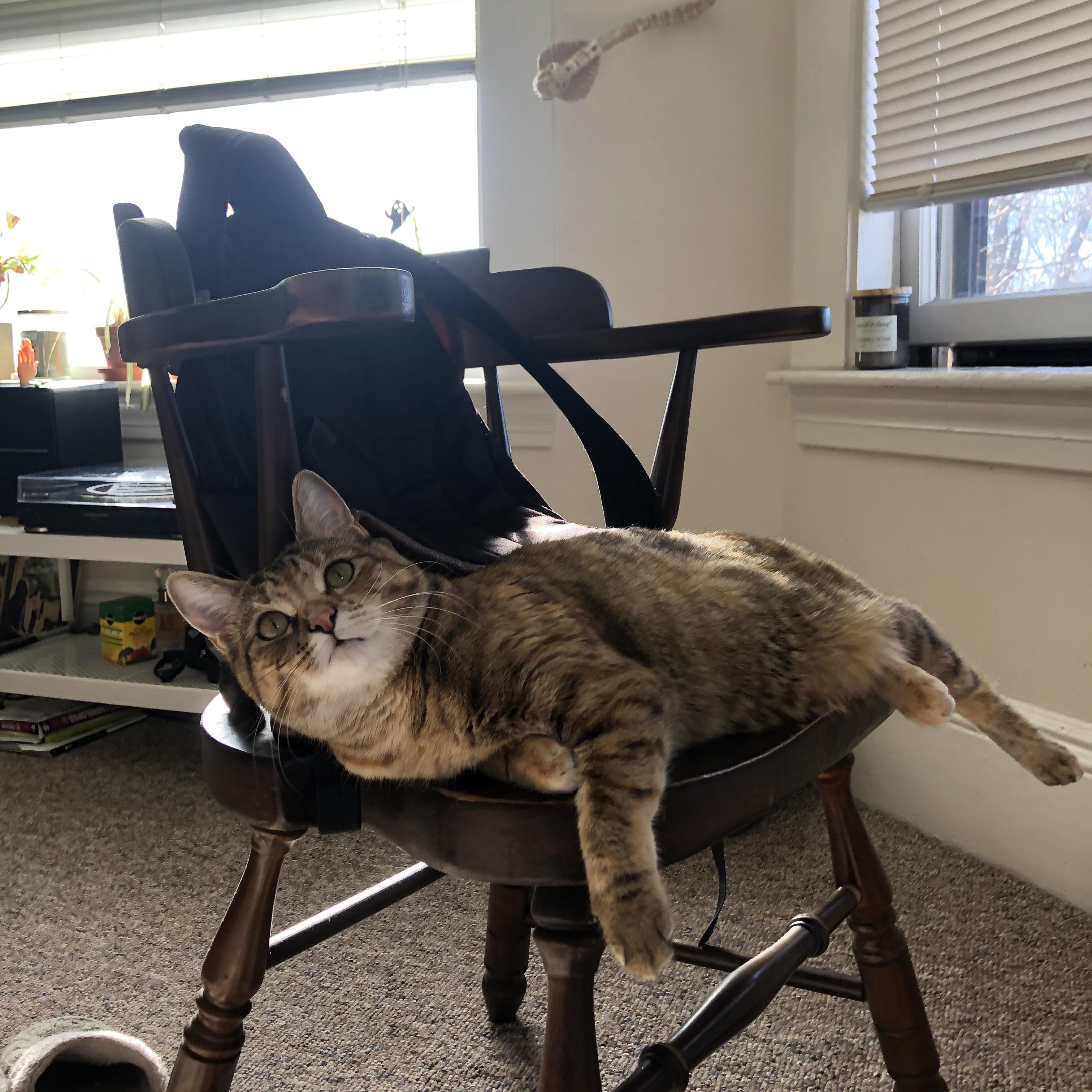 亚洲杯国家队战败 球迷期待战术调整,亚洲杯对战名单