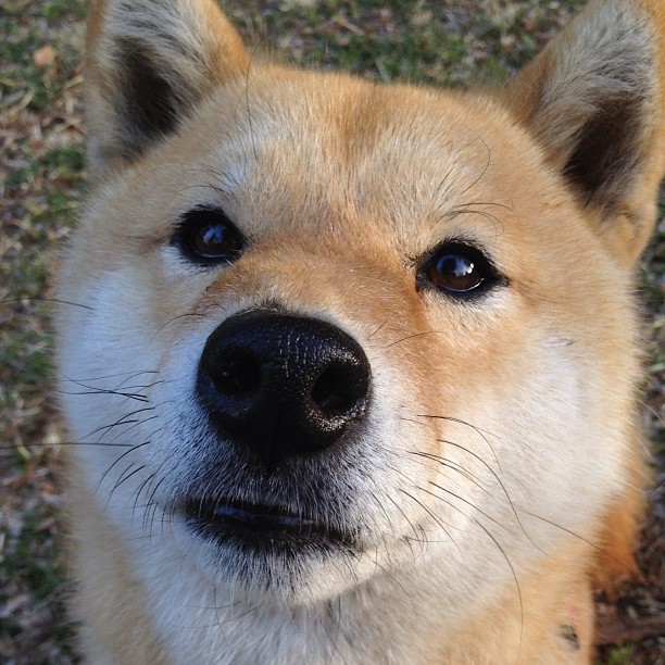 体育新闻中心推进体育影像档案管理系统建设,体育档案目录