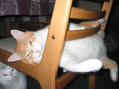 乐鱼体育 vip注册-体育新闻中心拓展AI写作在赛事报道中的应用场景，优秀体育新闻报道文章