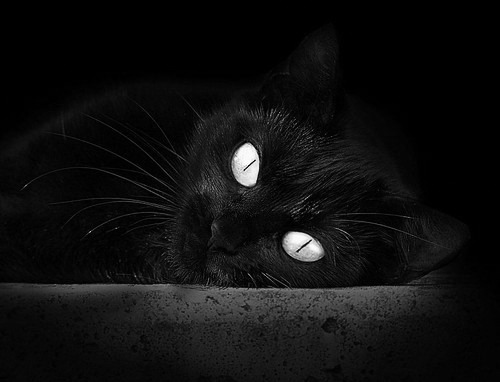 乐鱼体育平台登录-加拿大队在国际乒联混合团体世界杯中的出色技术与团队表现，加拿大乒乓球混双名单