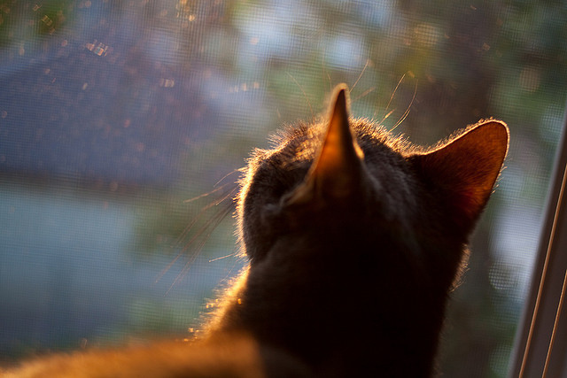 乐鱼体育在线-哈德斯菲尔德加强逼抢减少对手控球时间，哈德斯菲尔德对雷丁