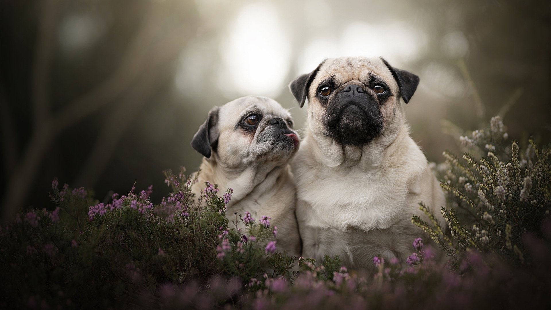 乐鱼体育官网网址-奥运备战科学制定目标计划，奥运备战科学制定目标计划表