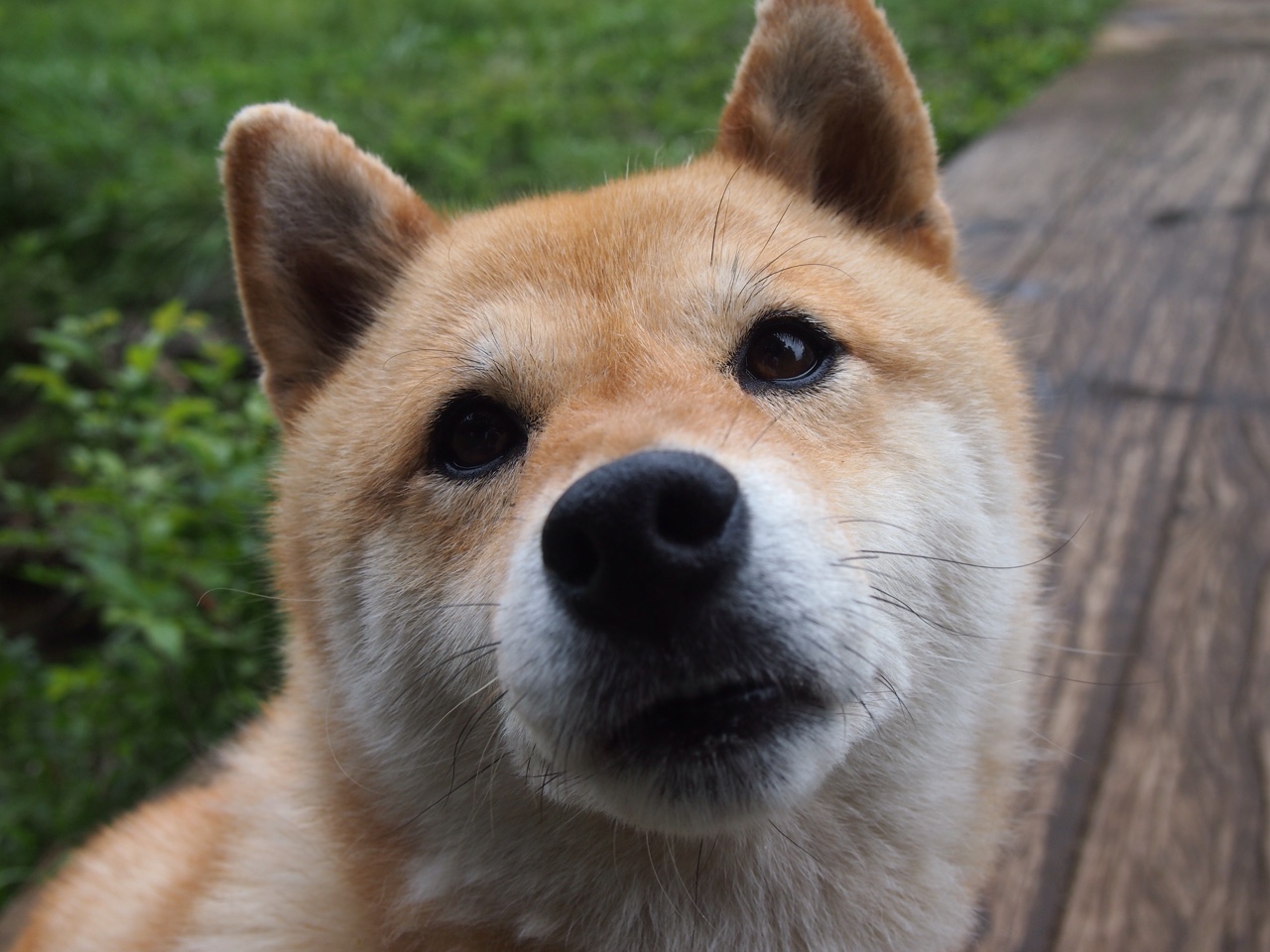 中甲球队优化外援引进策略更重团队融合与战术适配，中甲联赛外援规则