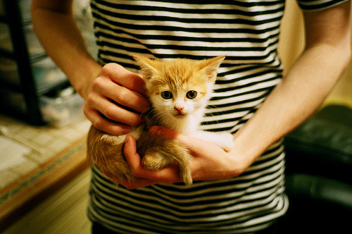 中超裁判团队接受国际培训提升执法规范性，中超裁判监督名单