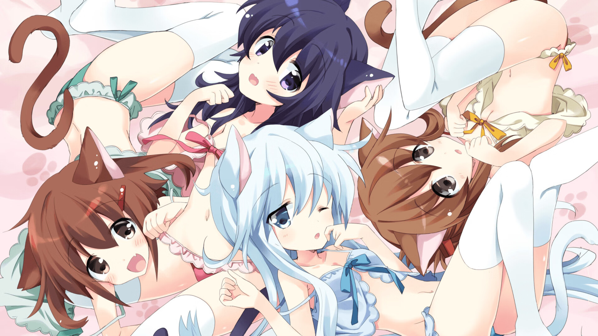 史密斯女子50米仰泳决赛夺冠有望,美国女子仰泳史密斯